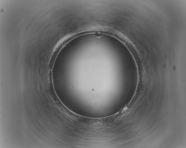 X0000076381222200610161106