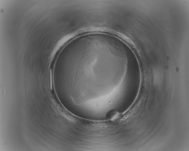 X0000076381223200610161106