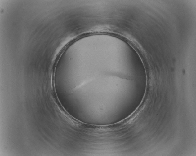 X0000076381224200610161106