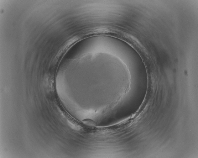 X0000076381225200610161106