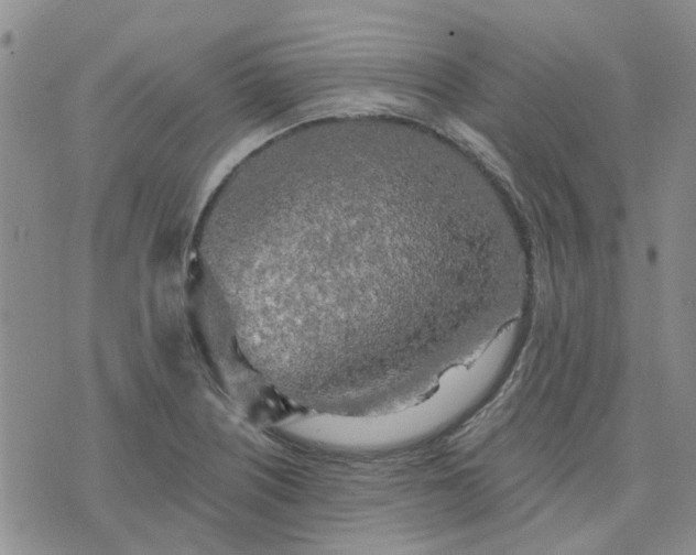 X0000076381226200610161107