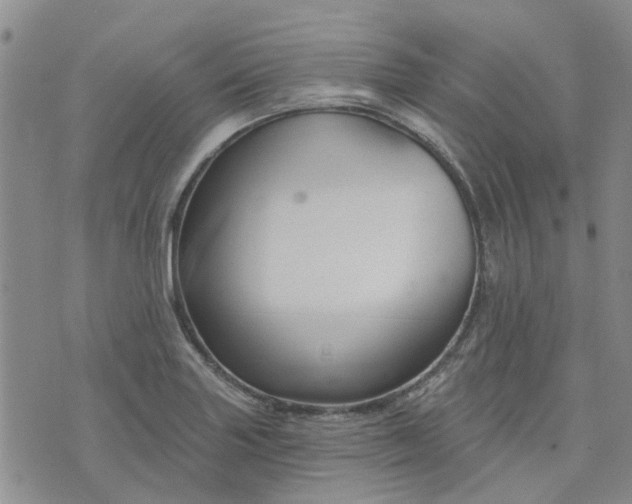 X0000076381227200610161107