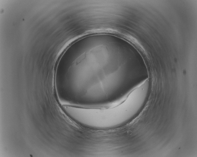 X0000076381228200610161107