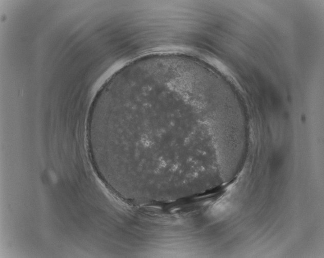 X0000076381229200610161107