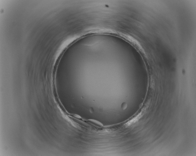 X0000076381231200610161107