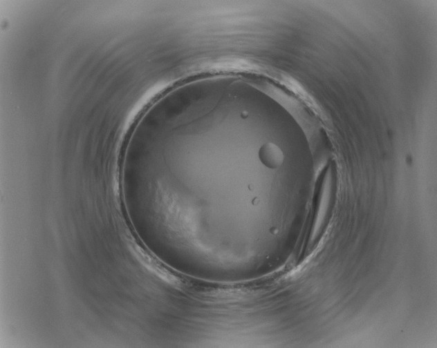 X0000076381232200610161107