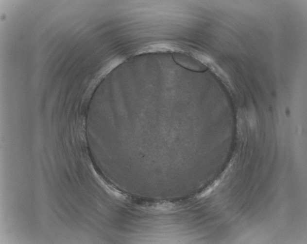 X0000076381233200610161107