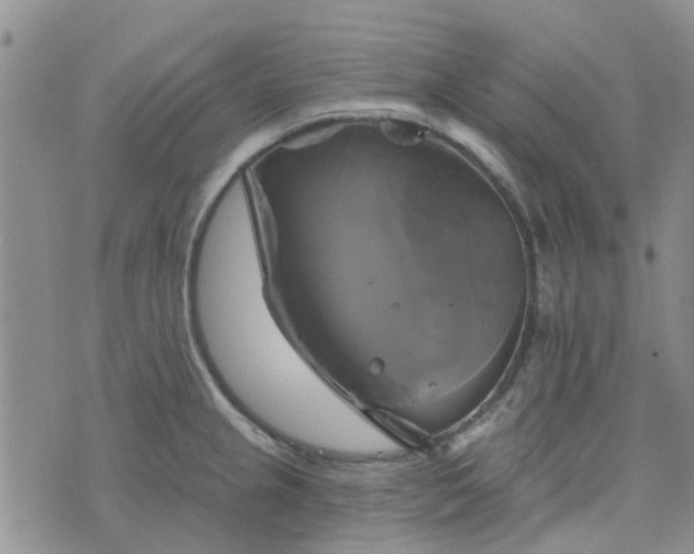 X0000076381237200610161107