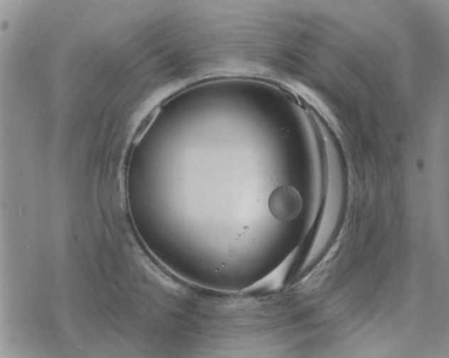 X0000076381238200610161107