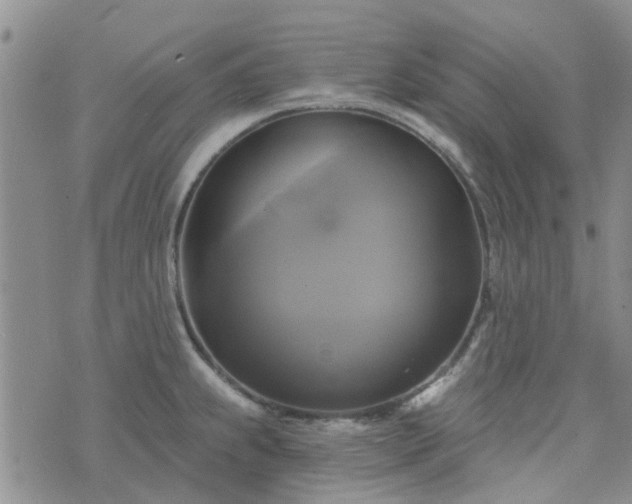 X0000076381239200610161107