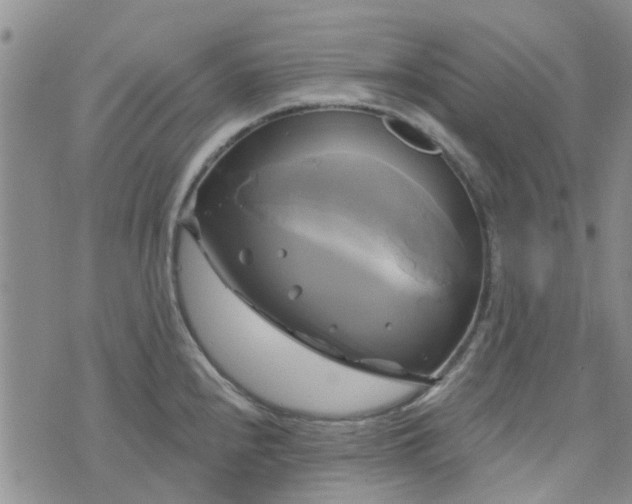 X0000076381240200610161107