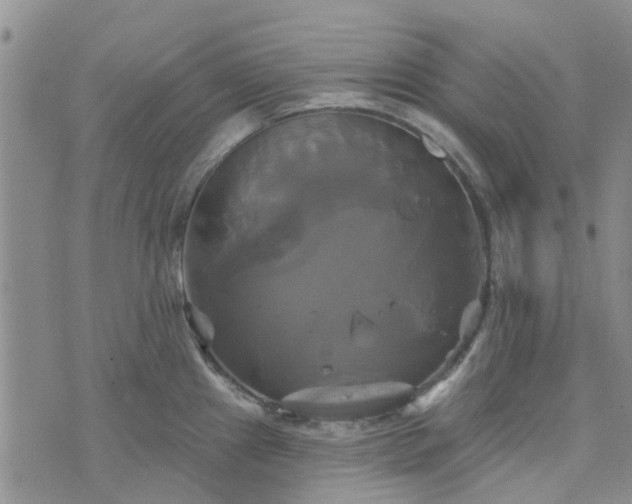 X0000076381241200610161107