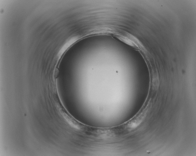 X0000076381242200610161107