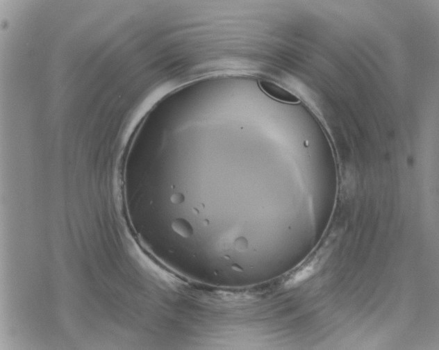 X0000076381243200610161107