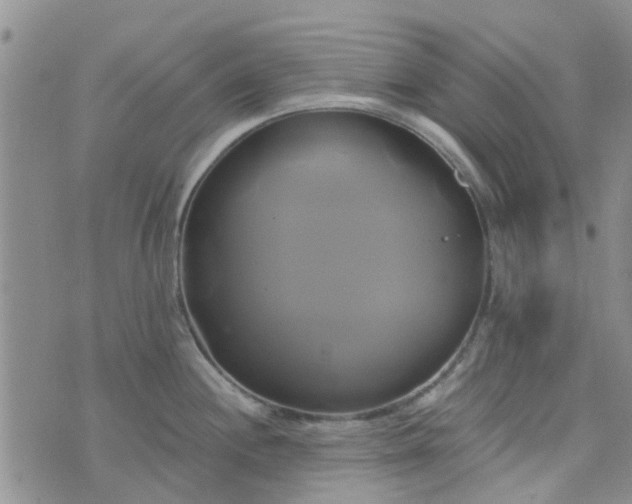 X0000076381244200610161107