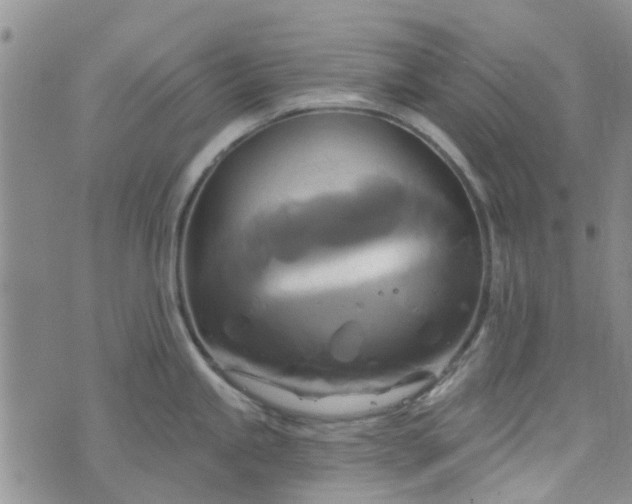 X0000076381245200610161107