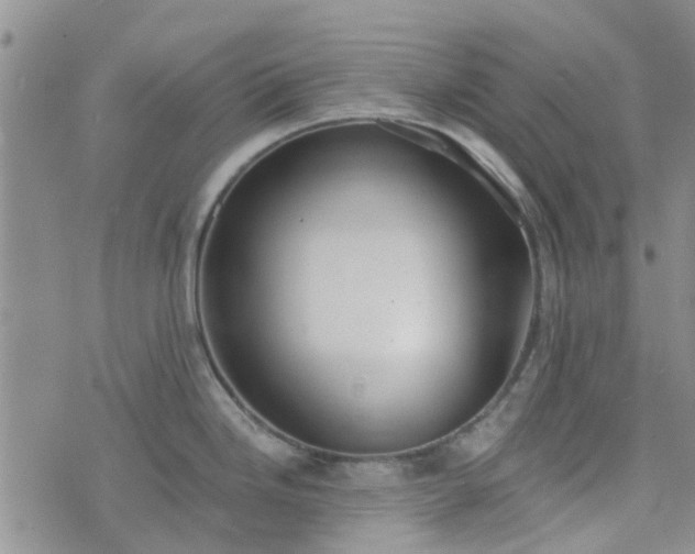 X0000076381246200610161107