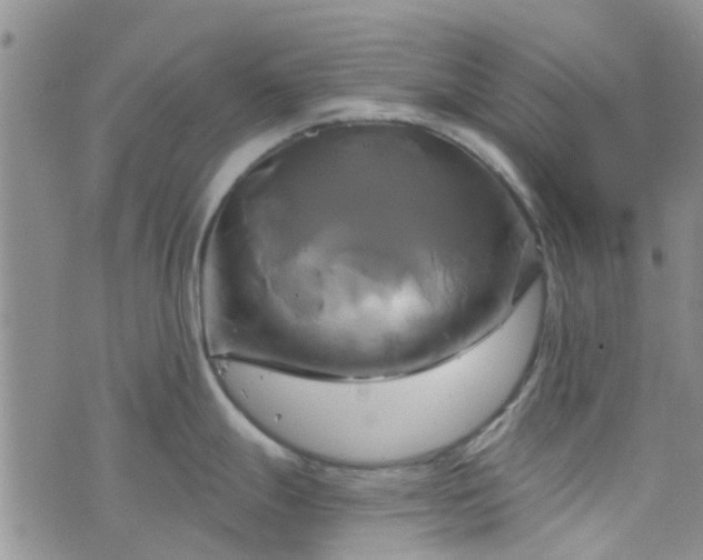 X0000076381247200610161107