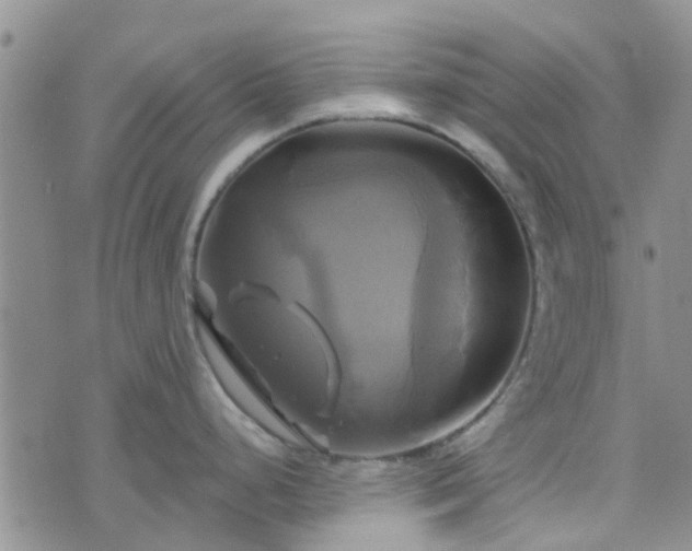 X0000076381248200610161107