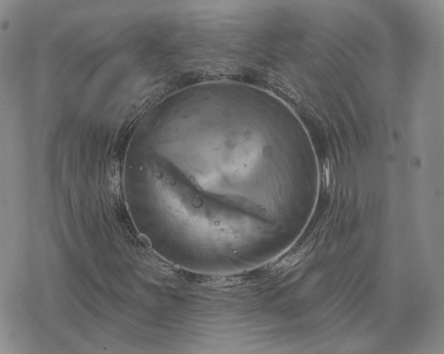 X0000076381251200610161106