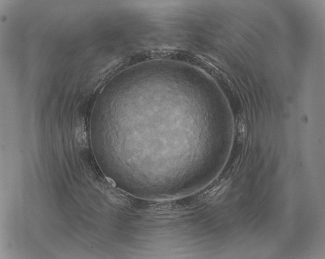 X0000076381252200610161106