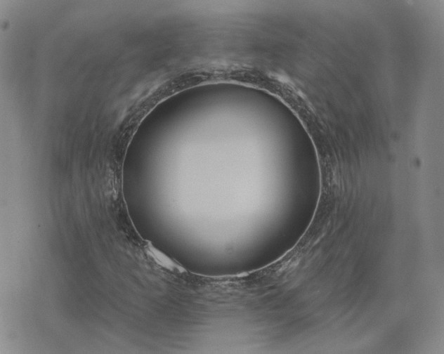 X0000076381253200610161106