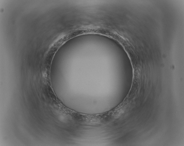 X0000076381254200610161106