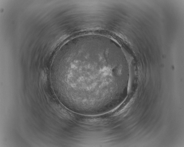 X0000076381257200610161106