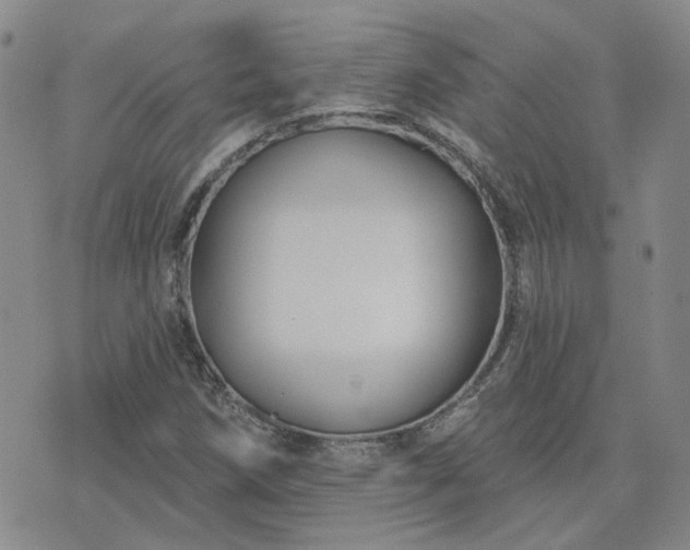 X0000076381258200610161106