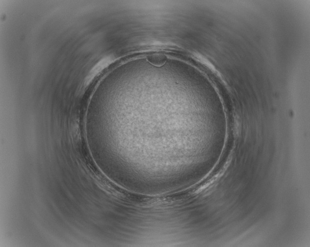 X0000076381259200610161106