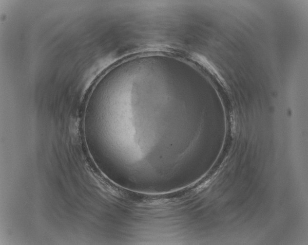 X0000076381260200610161106