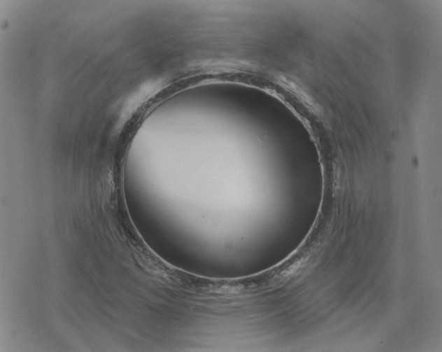 X0000076381261200610161106