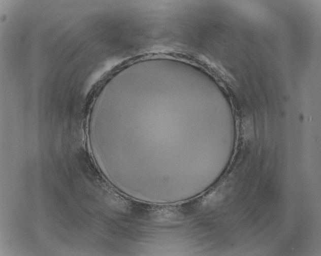 X0000076381262200610161106