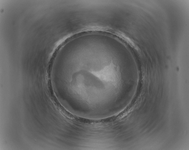 X0000076381264200610161106