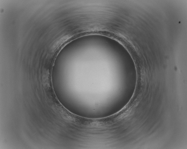 X0000076381265200610161106