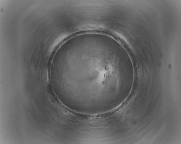 X0000076381267200610161106