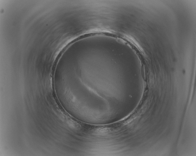 X0000076381268200610161106