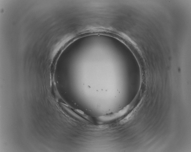 X0000076381269200610161106