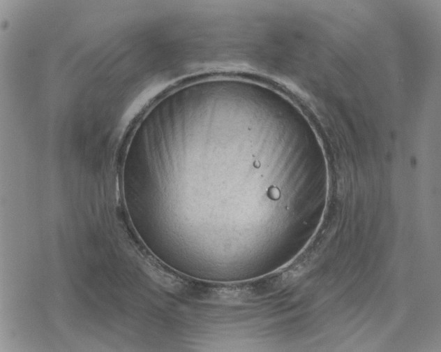 X0000076381271200610161106