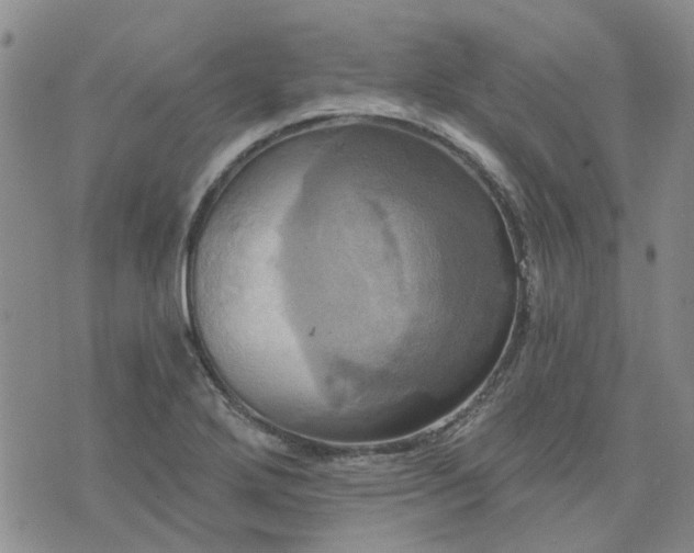 X0000076381272200610161106