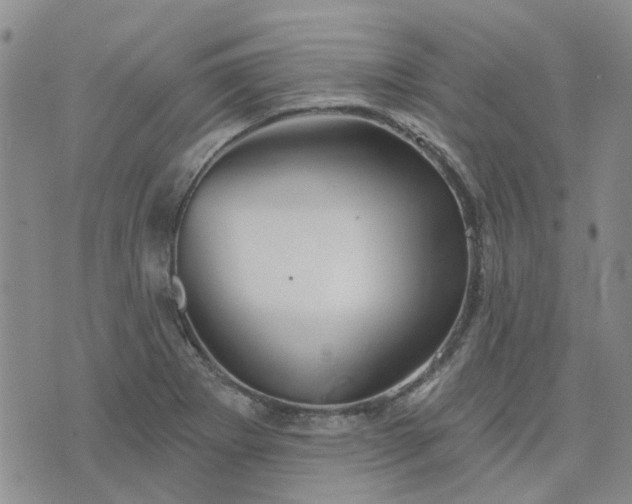 X0000076381273200610161106