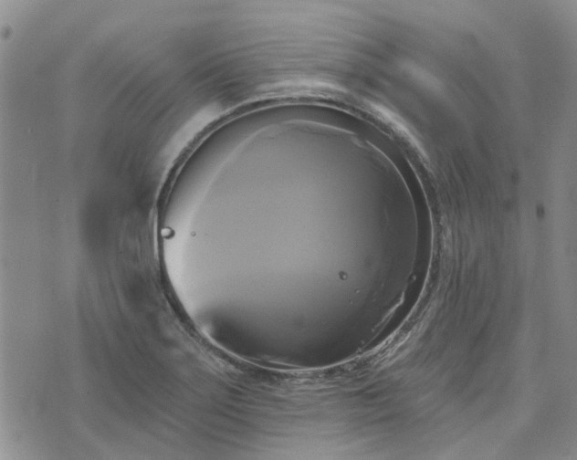 X0000076381275200610161106