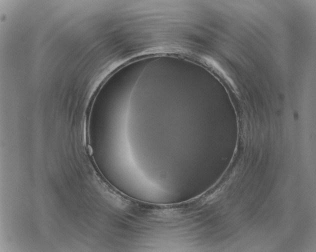 X0000076381276200610161106