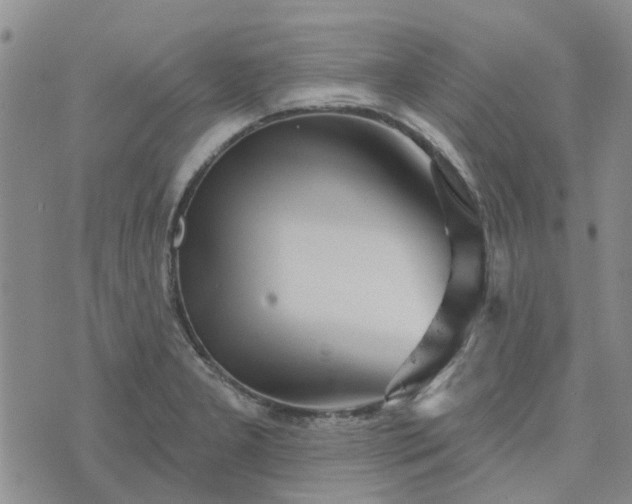 X0000076381277200610161106