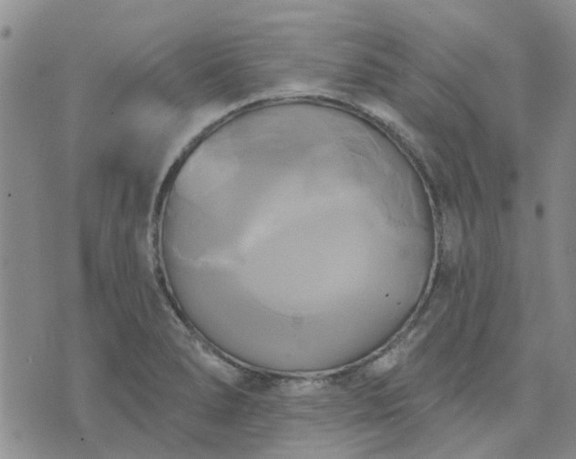 X0000076381278200610161106