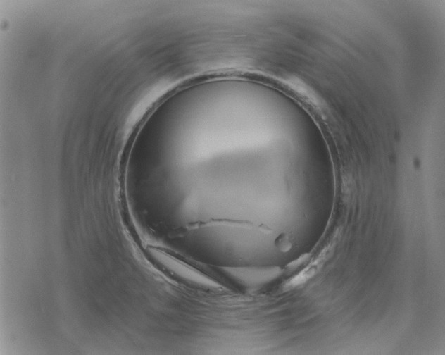 X0000076381279200610161106