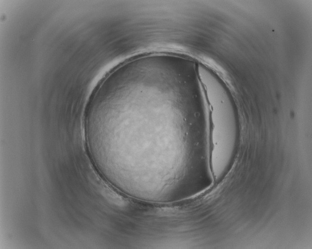 X0000076381280200610161106