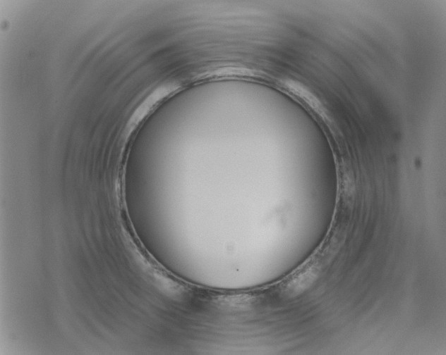 X0000076381282200610161106