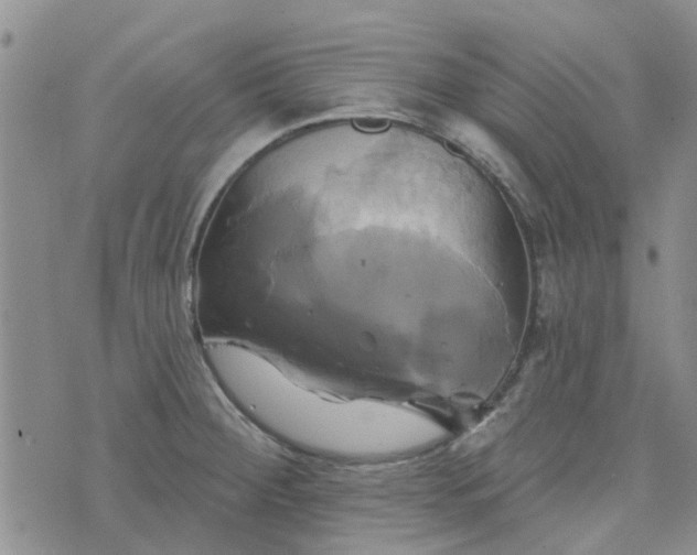 X0000076381284200610161106