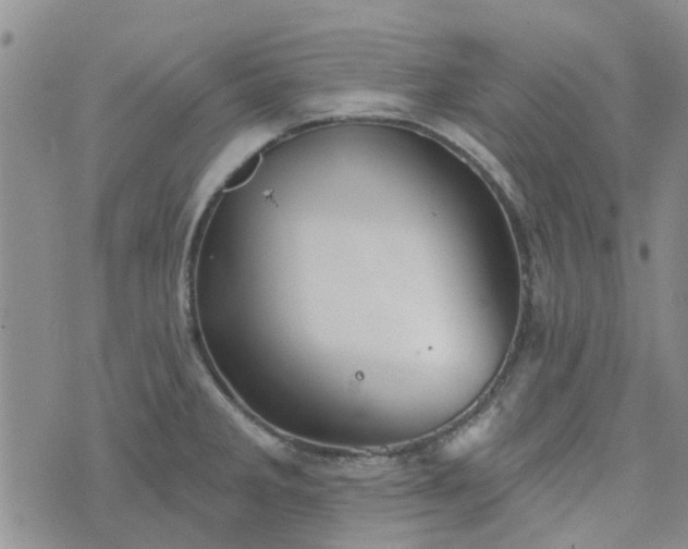 X0000076381285200610161106